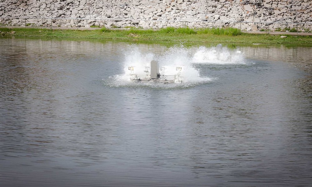 Choosing the Right Pond Aeration System for a Balanced Ecosystem